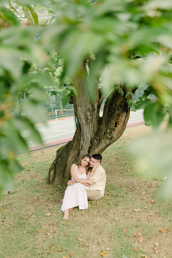 Descripción de la imagen 30